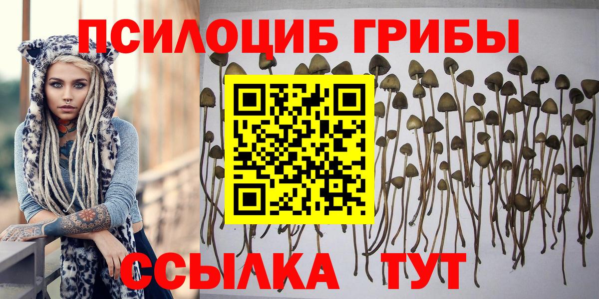 Псилоцибиновые грибы Psilocybine cubensis  Вход с VPN  Киреевск  Псилоцибиновые грибы Cubensis 