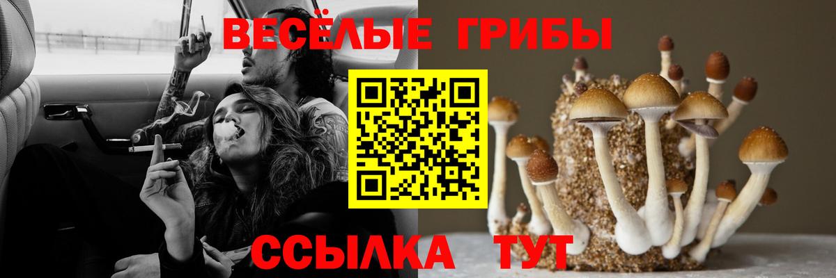 Псилоцибиновые грибы прущие грибы Киреевск