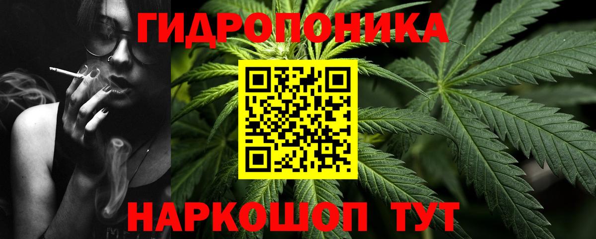 Бошки Шишки Amnesia  Бошки марихуана семена  Вход с VPN  Каннабис ГИДРОПОН  Марихуана Bruce Banner  Киреевск 